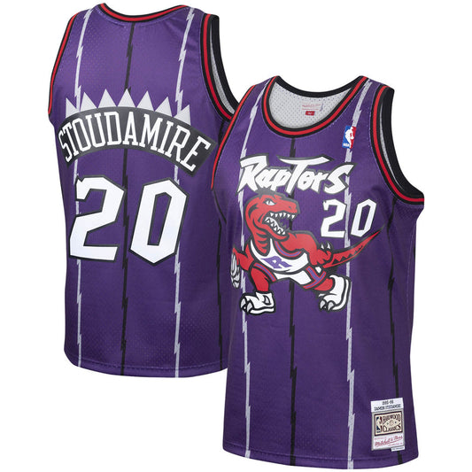 Men's Damon Stoudamire Toronto Raptors Mitchell & Ness 1995-96 Hardwood Classics Swingman Jersey - Purple